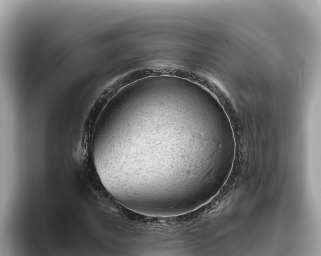 X0000093421016200710191001