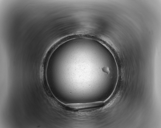 X0000093421021200710191001