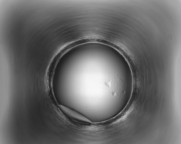 X0000093421022200710191001