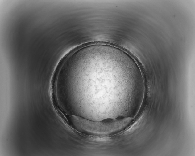 X0000093421024200710191001