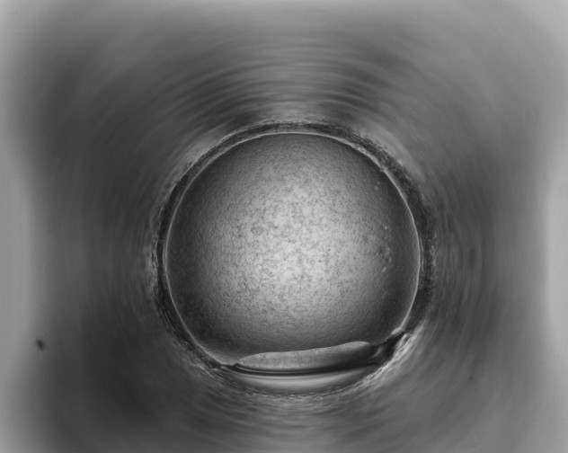 X0000093421025200710191001