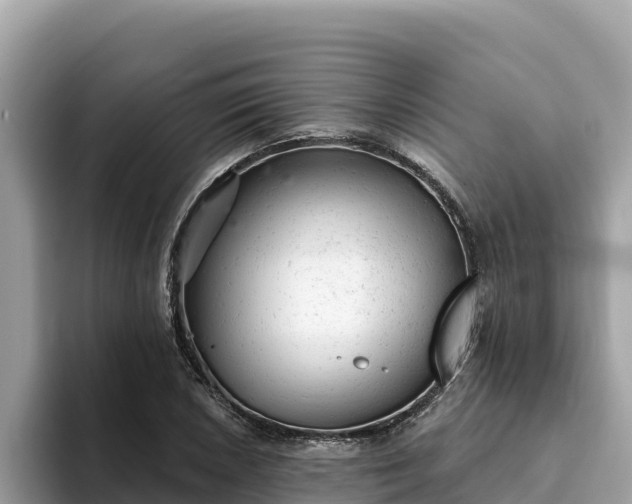 X0000093421026200710191001