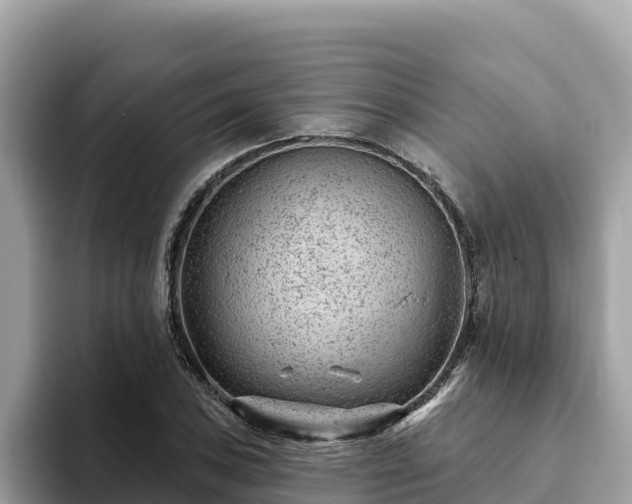 X0000093421027200710191001