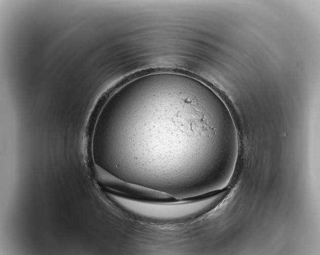 X0000093421029200710191001