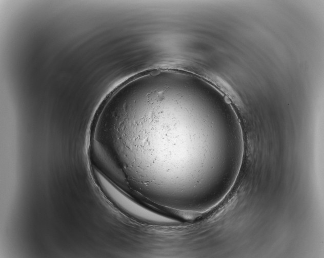 X0000093421036200710191001