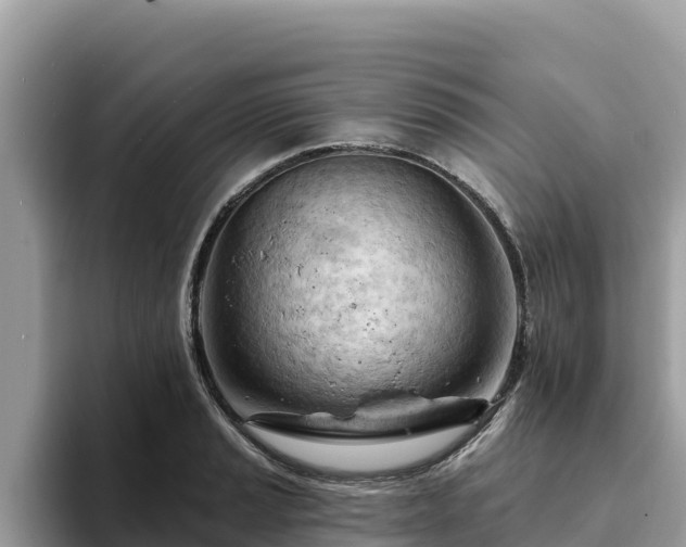 X0000093421037200710191001