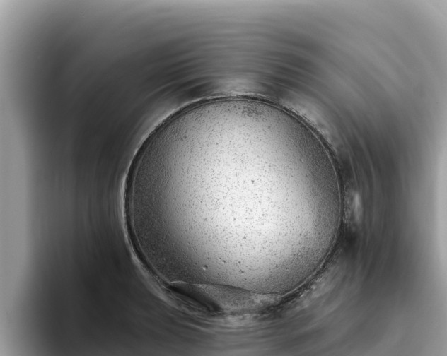 X0000093421039200710191001