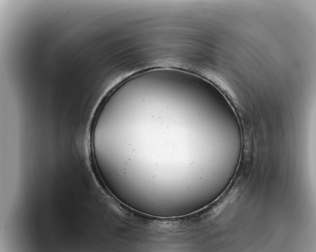 X0000093421040200710191001