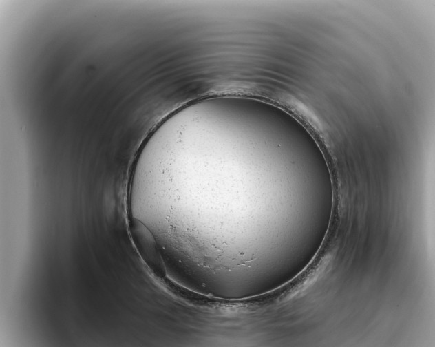 X0000093421041200710191001