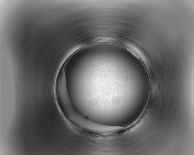 X0000093421050200710191001