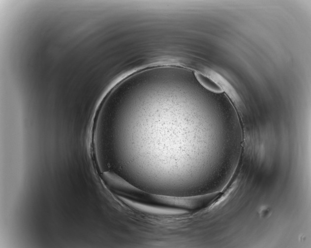 X0000093421052200710191001