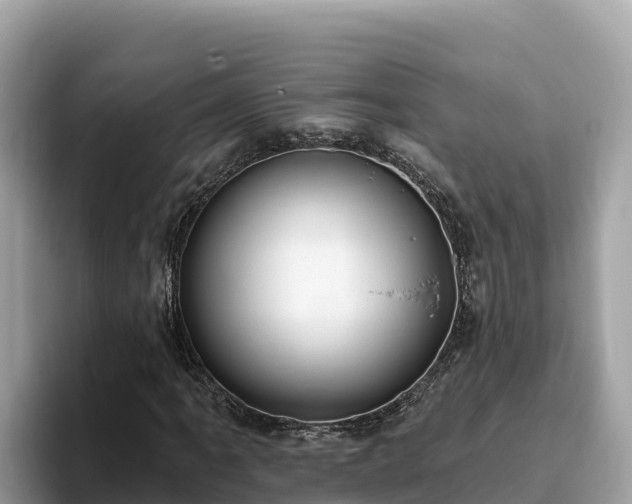X0000093421061200710191001