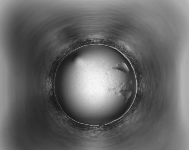 X0000093421062200710191001