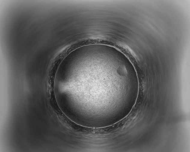 X0000093421064200710191001