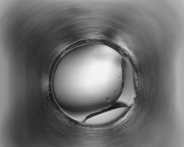 X0000093421065200710191001