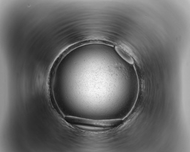 X0000093421068200710191001