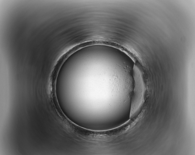 X0000093421070200710191001