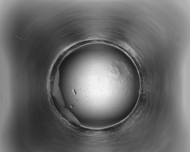 X0000093421072200710191001