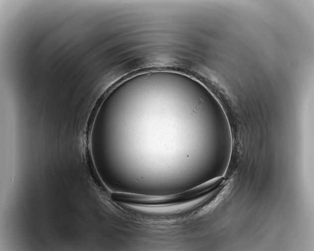 X0000093421073200710191000