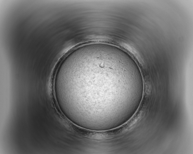 X0000093421074200710191000