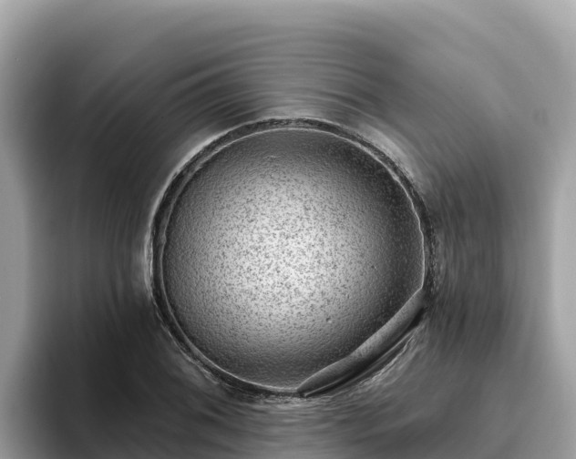 X0000093421076200710191000