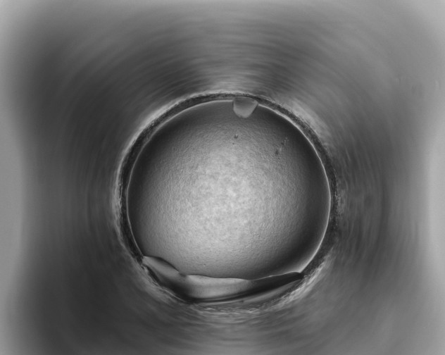 X0000093421077200710191000