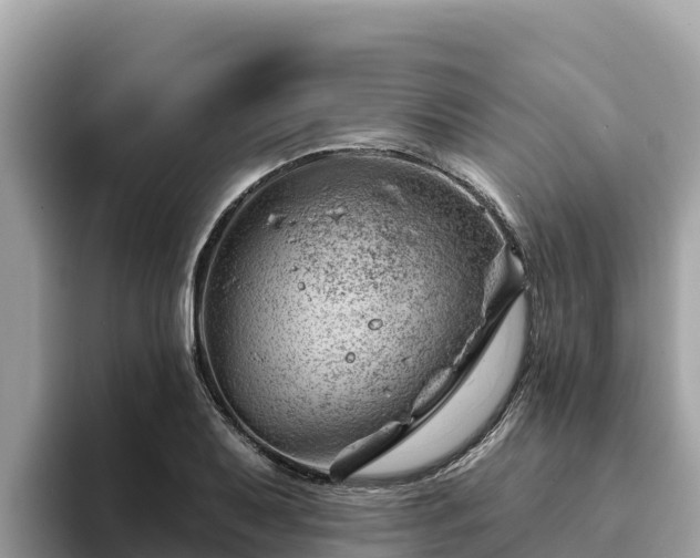 X0000093421079200710191000