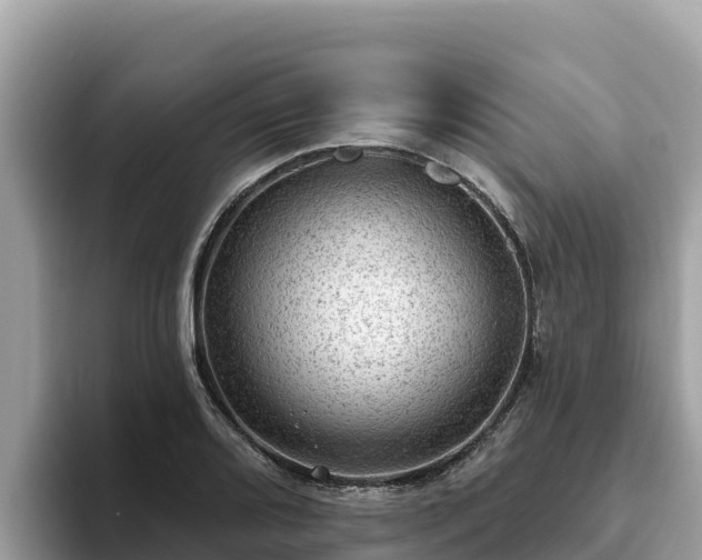 X0000093421080200710191000