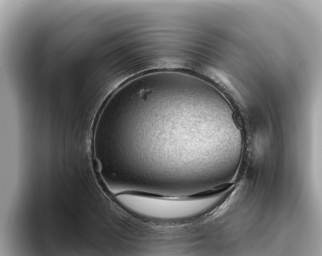X0000093421081200710191000