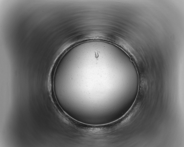 X0000093421082200710191000