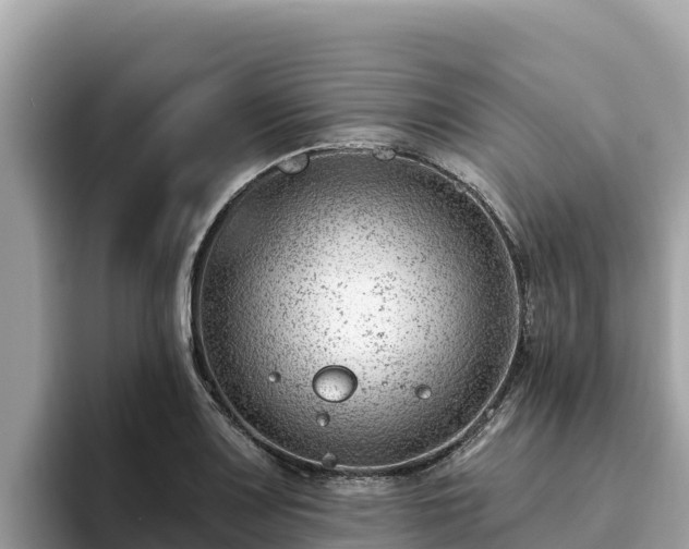 X0000093421083200710191000