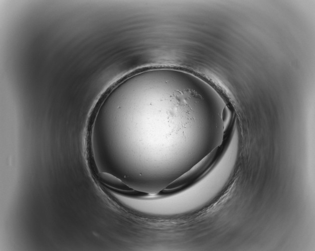 X0000093421085200710191000