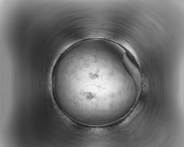 X0000093421088200710191000