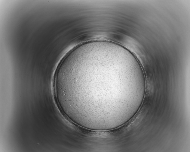 X0000093421090200710191000