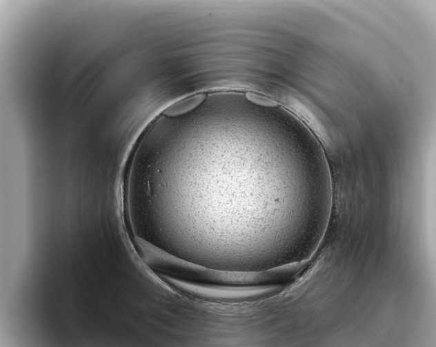 X0000093421092200710191000