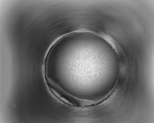 X0000093421100200710191000