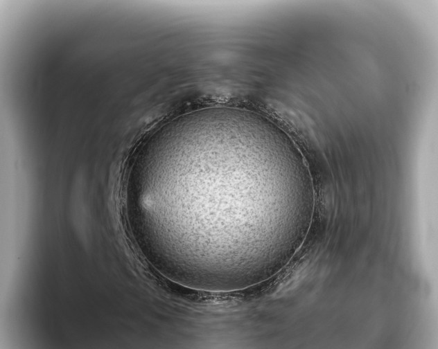 X0000093421105200710190959