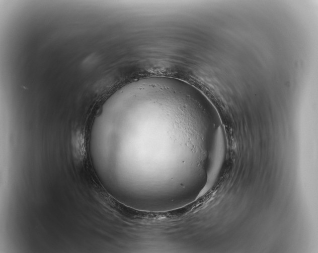 X0000093421106200710190959