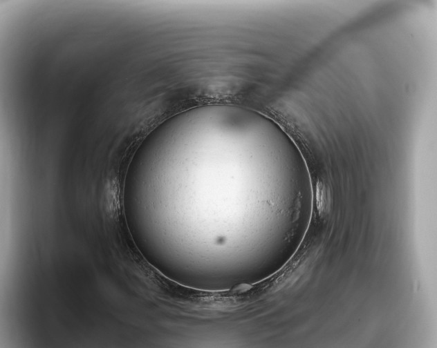 X0000093421107200710190959