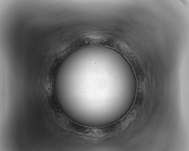 X0000093421109200710191000