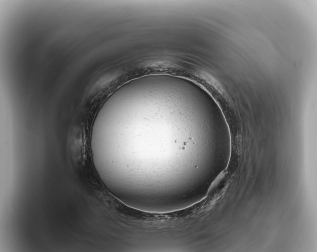 X0000093421111200710191000