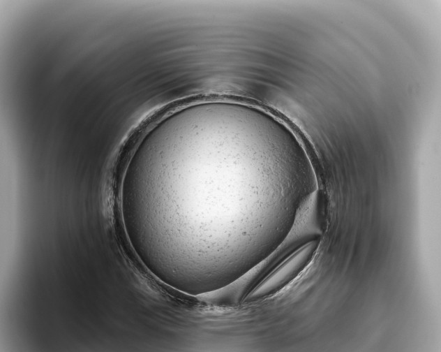 X0000093421115200710191000