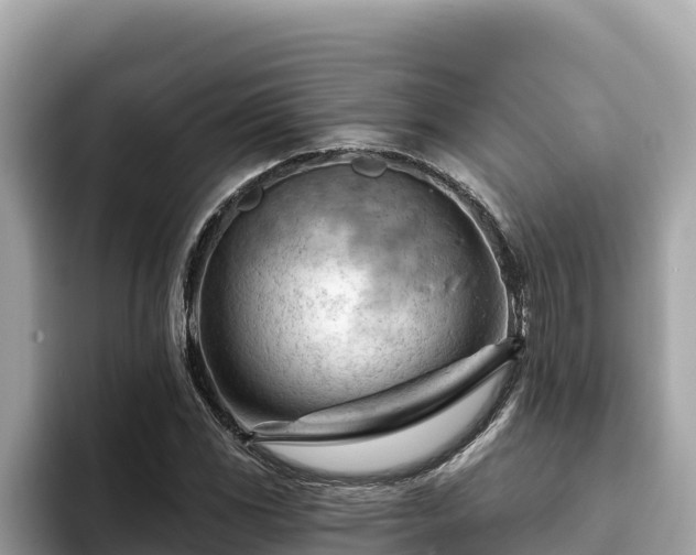 X0000093421117200710191000