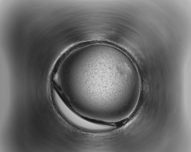 X0000093421118200710191000