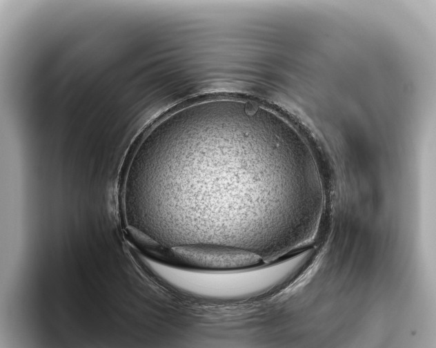 X0000093421121200710191000