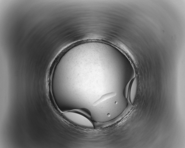 X0000093421124200710191000