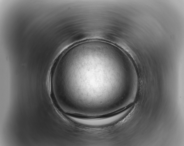 X0000093421127200710191000