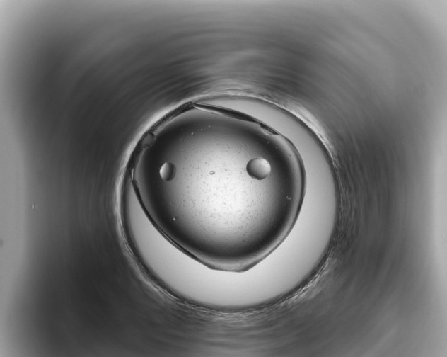 X0000093421128200710191000