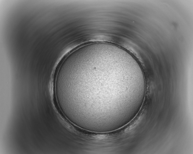 X0000093421130200710191000