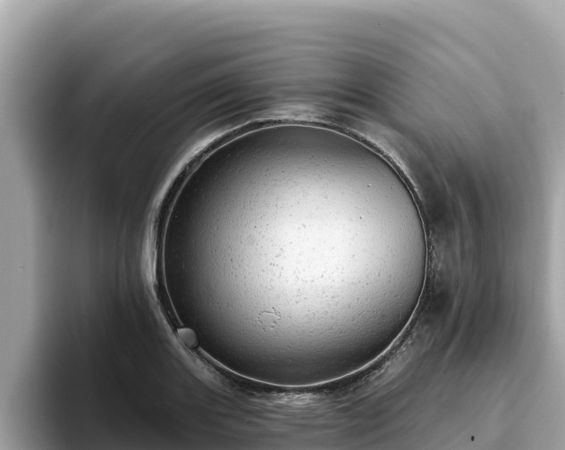 X0000093421131200710191000
